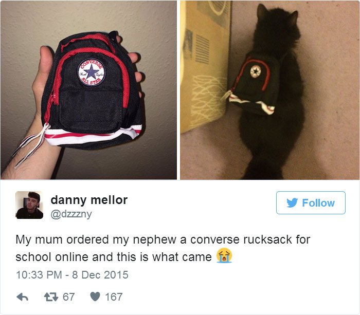Compras online que não deram certo Era para uma criança, mas ficou melhor em um gatinho! Foto: