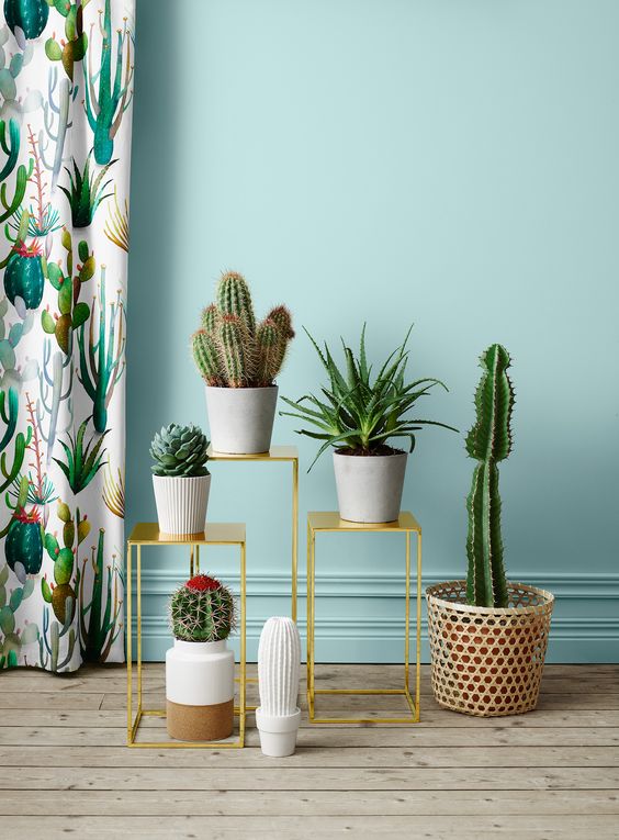 Decoração: Jeitos criativos de colocar plantas e flores no quarto