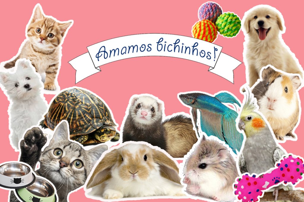 11 filhotes fofos para deixar o seu dia MUITO mais feliz!