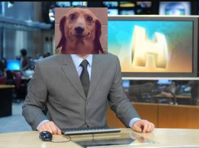 evaristo-costa-sosia-cachorro1 evaristo-costa-sosia-cachorro1