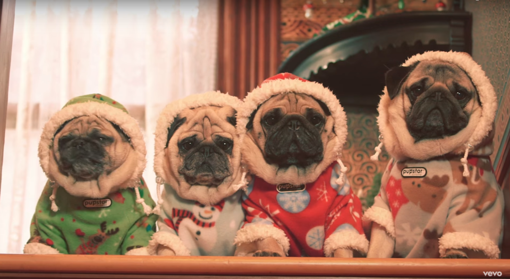 She & Him lança clipe de Natal só com pugs. Muita fofura!