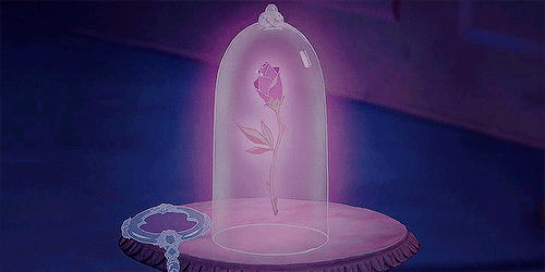 Vibe A Bela e a Fera? Marca lança pincéis em forma de rosa!