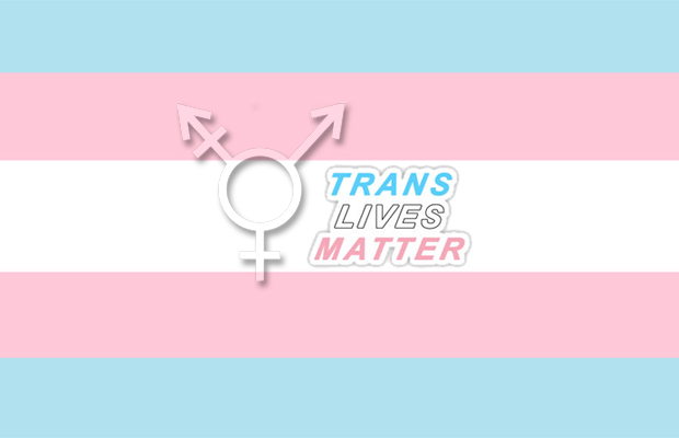 Bandeira Transexuais | Orgulho Trans Bandeira Transexuais | Orgulho Trans
