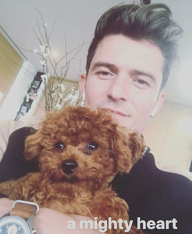Orlando Bloom é visto passeando com cachorrinho de Katy Perry