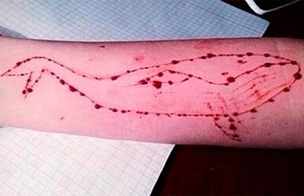 Blue Whale: o jogo russo do suicídio que está se tornando um viral