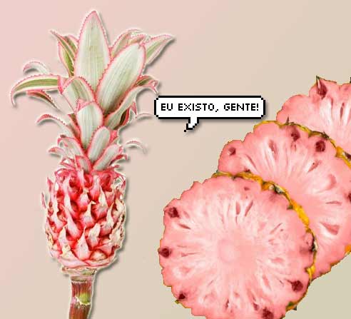 O abacaxi rosa não só existe, como é lindo e muito saudável!