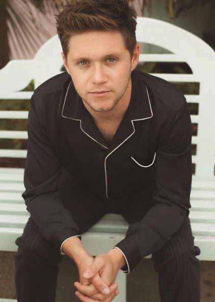 Niall Horan não descarta feat. com colegas One Direction