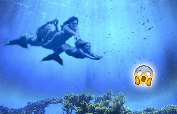 Casa de sereia é encontrada à deriva no meio do Oceano Atlântico