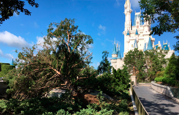 O Walt Disney World antes e depois da passagem do Furacão Irma