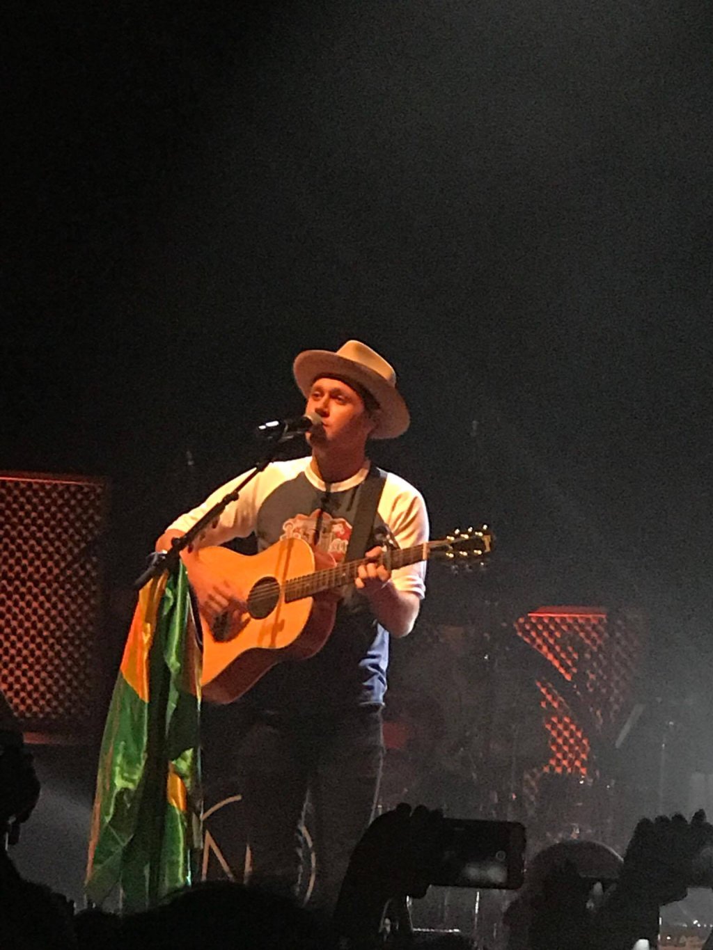 Niall Horan apaixona ~ainda mais~ fãs em 1º show solo no Brasil