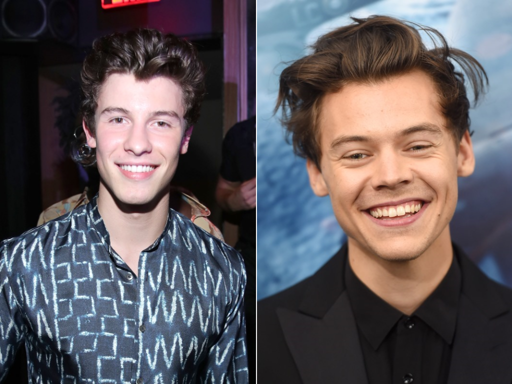 Melhor rolê! Shawn Mendes curte show do Harry Styles no Canadá