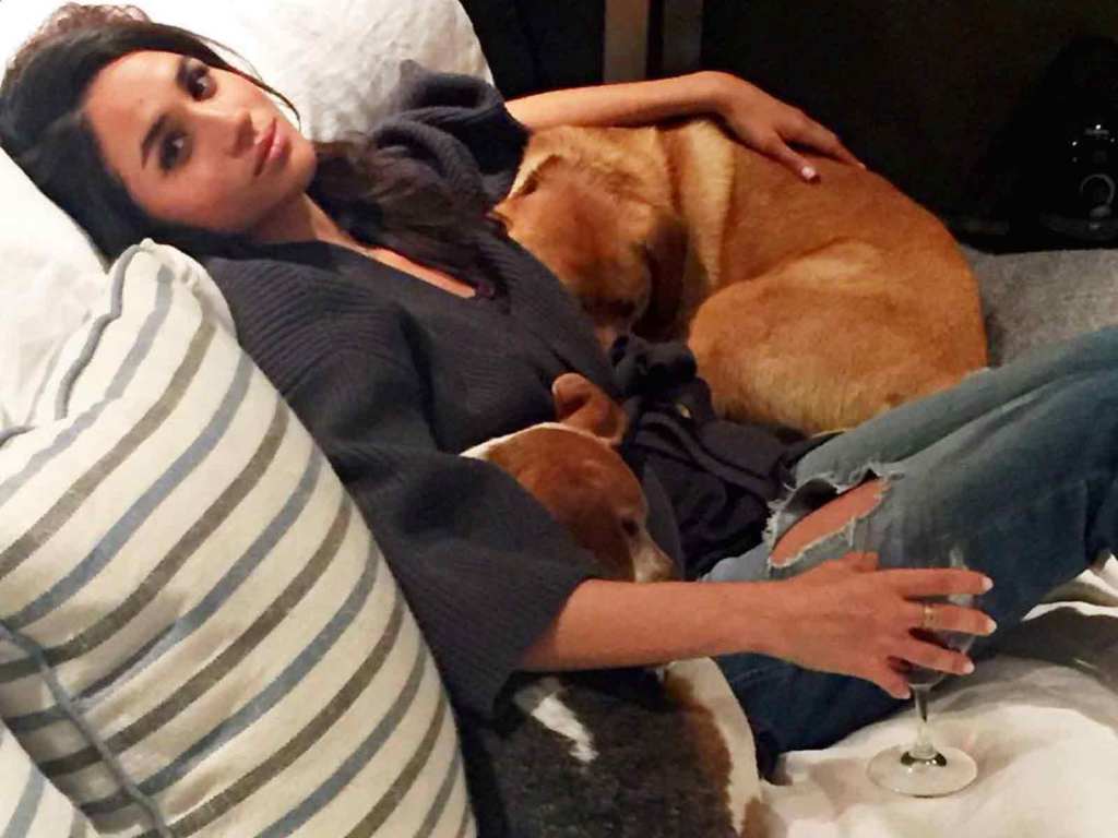 Meghan Markle teve que abandonar um cachorro antes de se mudar