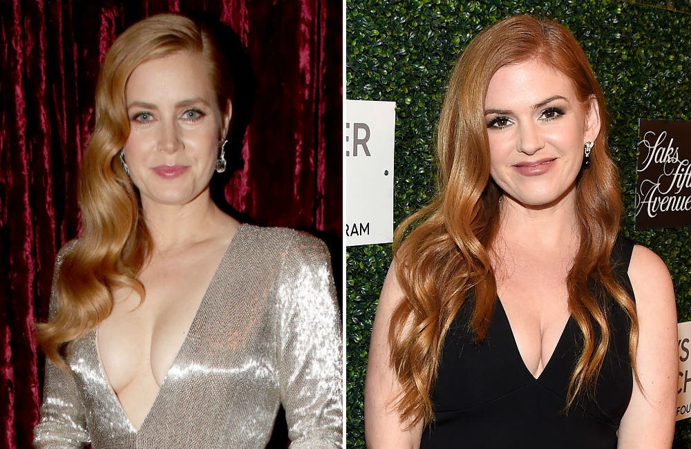 famosos-que-se-parecem-amy-adams-isla-fisher