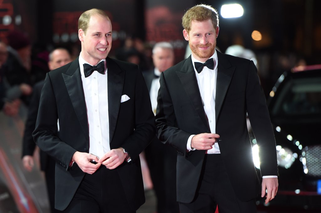 Você conhece os irmãos postiços dos príncipes Harry e William?