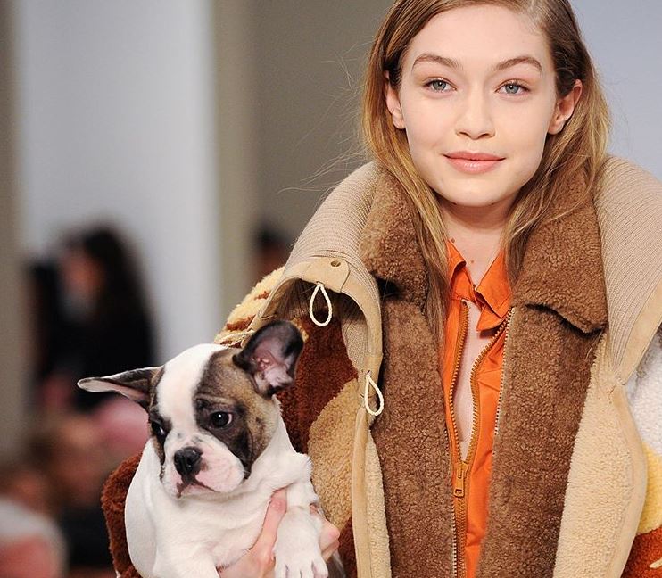 Cachorros fofíneos roubam a cena em desfile com Gigi Hadid