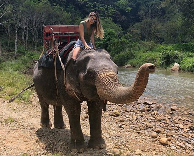 Irmã de Luan Santana se emociona com elefantes na Tailândia