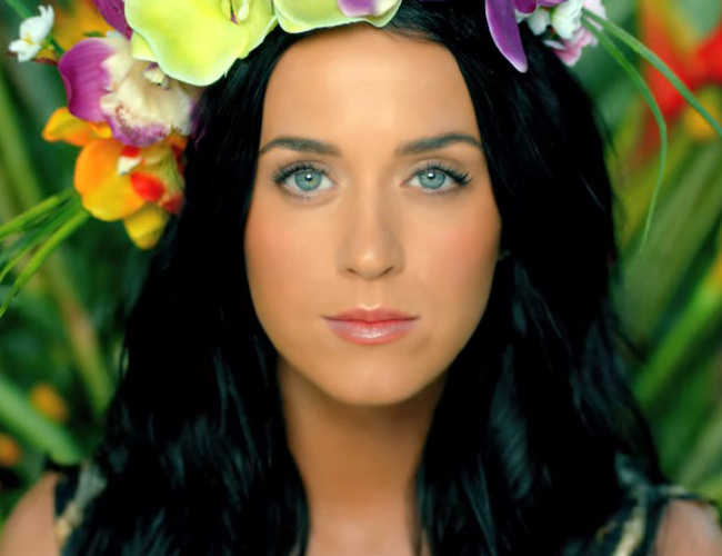 maquiagem-katy-perry-roar