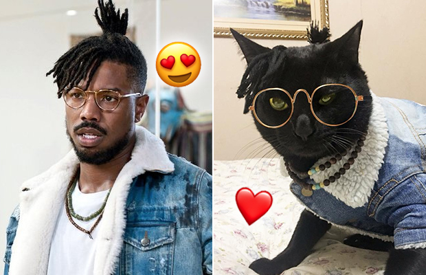 Esse gato “roubou” o look de Michael B. Jordan em “Pantera Negra”