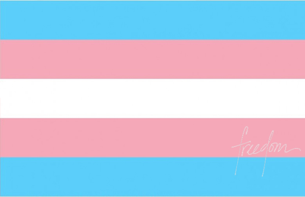 Bandeira do Orgulho Trans | Orgulho Transexual