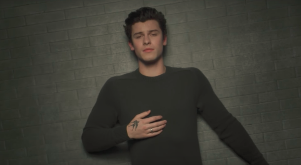 Shawn Mendes retrata luta contra ansiedade no clipe de In My Blood