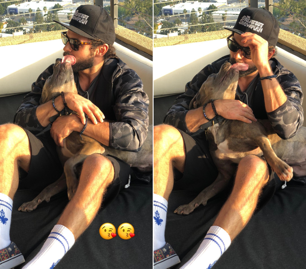 Zac Efron adota cachorrinha que seria sacrificada e eles já são bffs