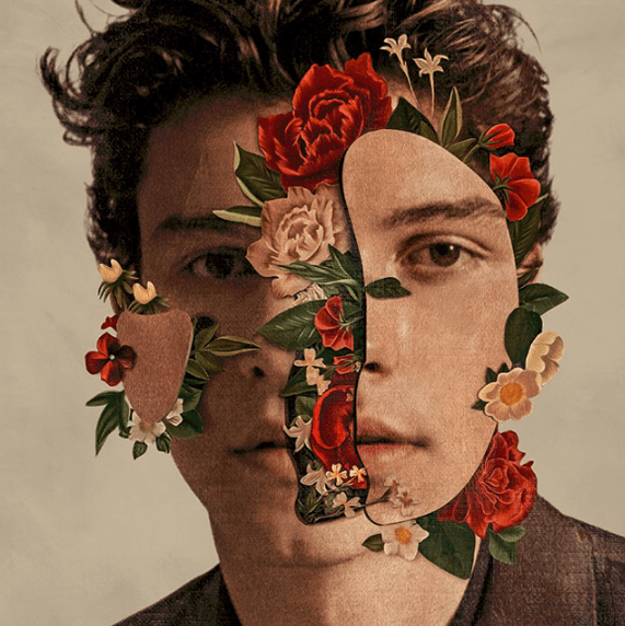 Shawn Mendes não usou pronomes de gênero no álbum: “não importam”