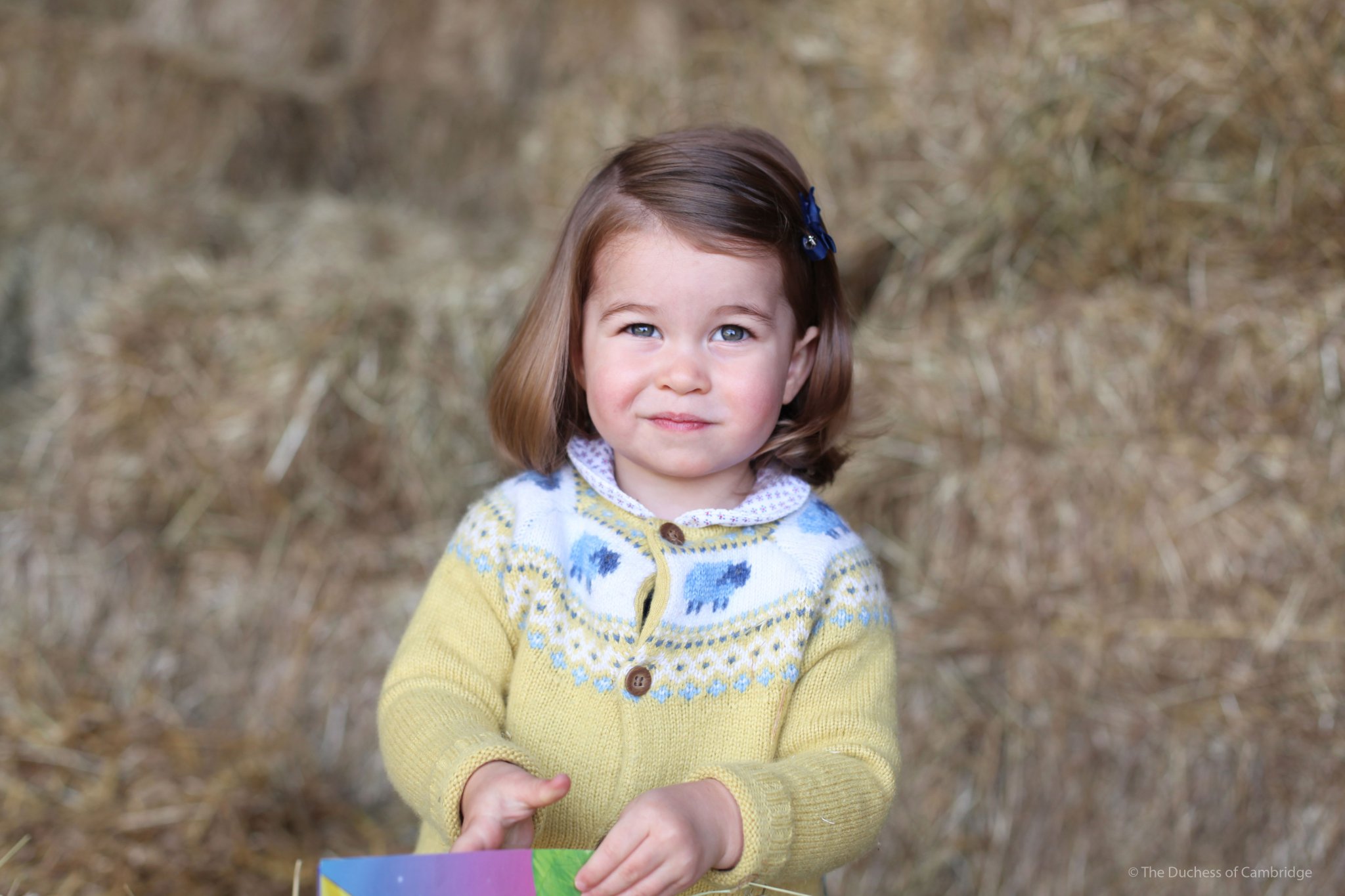 charlotte-filha-de-duques-de-cambridge charlotte-filha-de-duques-de-cambridge