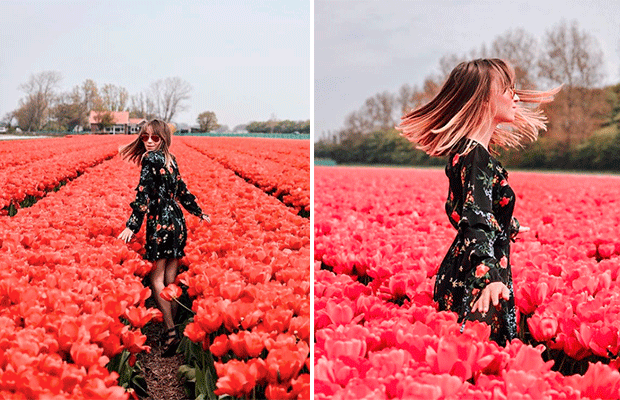 Instagram da Leitora: a conta perfeita para quem ama campos de flores!