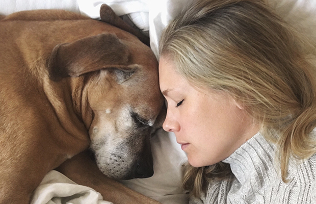 Mulheres dormem melhor ao lado de cachorros que de humanos, diz pesquisa