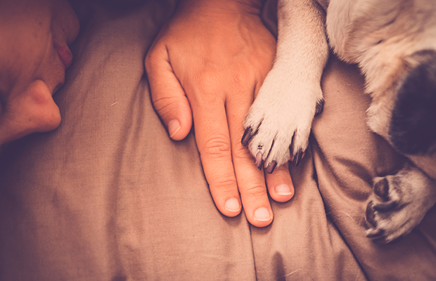 Mulheres dormem melhor ao lado de cachorros que de humanos, diz pesquisa