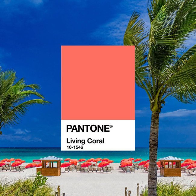 living-coral-cor-de-2019-pantone-1 living-coral-cor-de-2019-pantone-1