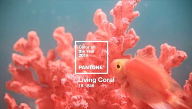 living-coral-cor-de-2019-pantone living-coral-cor-de-2019-pantone