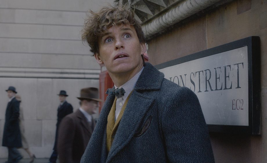 Newt Scamander e o impacto de um protagonista autista em uma grande saga