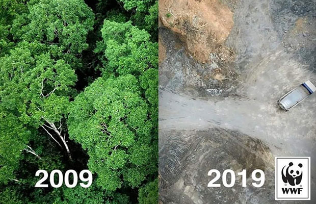 #10YearsChallenge alternativo mostra impactos dos humanos no meio ambiente