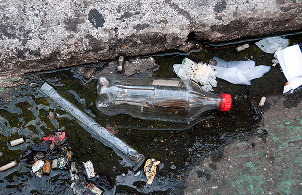 Folia sustentável: 7 jeitos simples de tornar seu Carnaval mais ecológico