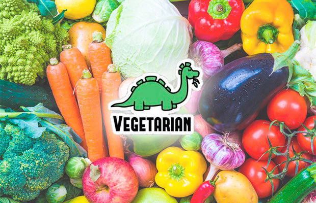 Em um ano, uma pessoa vegetariana/vegana evita a morte de até 582 animais