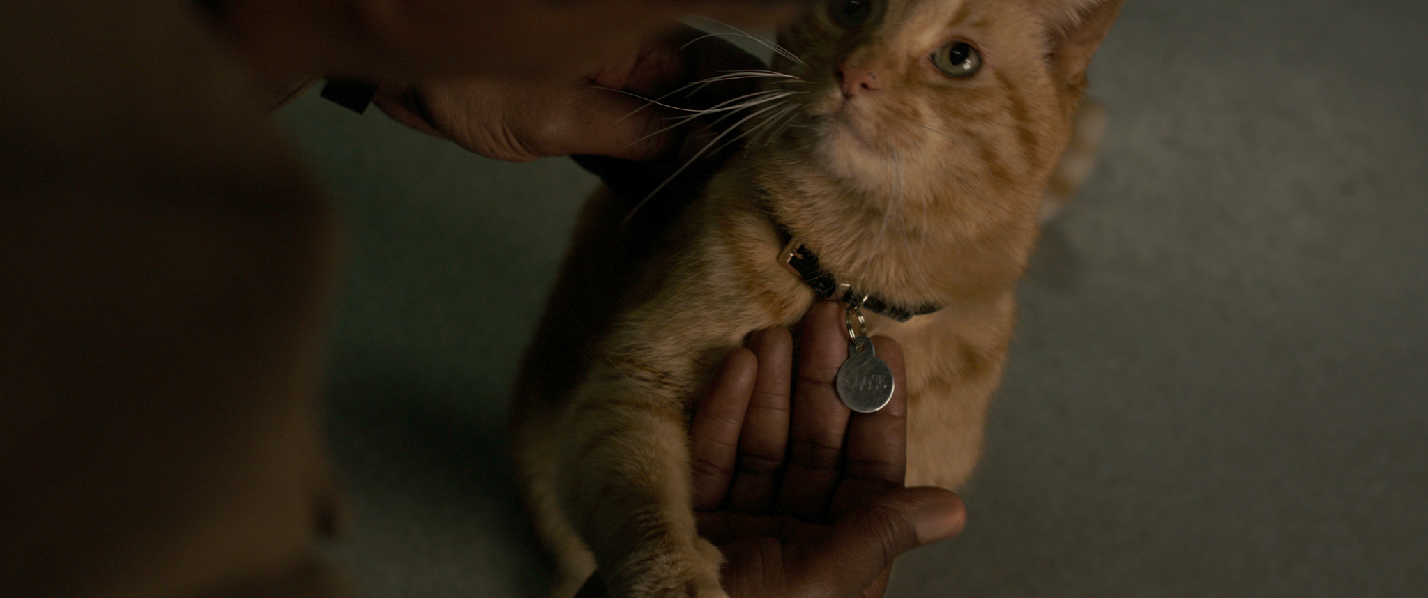 goose-gato-capita-marvel goose-gato-capita-marvel