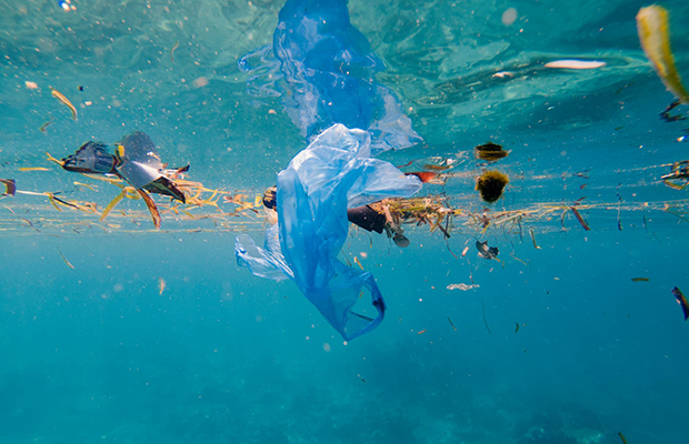 Brasil é 4º maior país produtor de lixo plástico e o que menos recicla