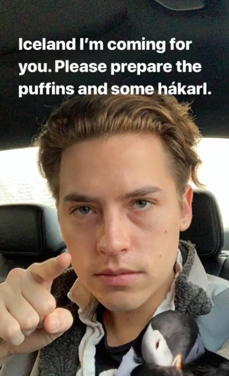 cole-sprouse-loiro