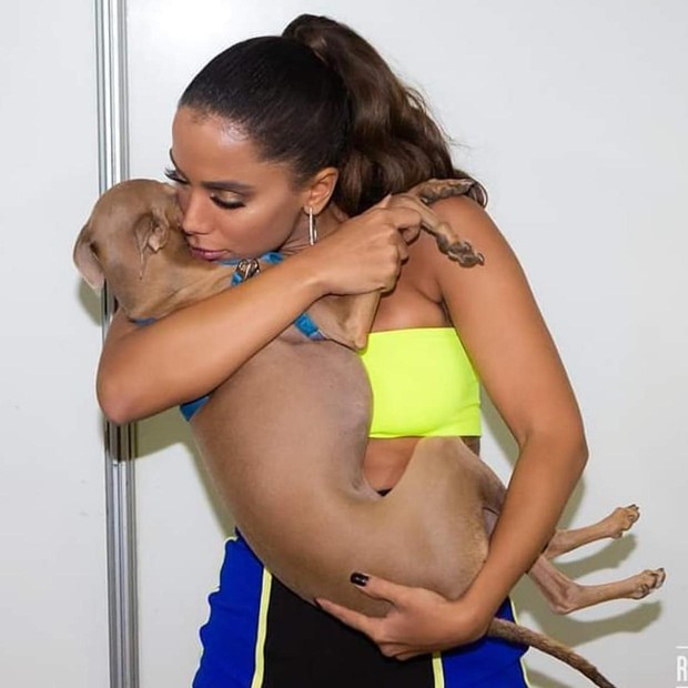 Que absurdo! Plínio, cachorro da Anitta, sofre ameaças nas redes sociais