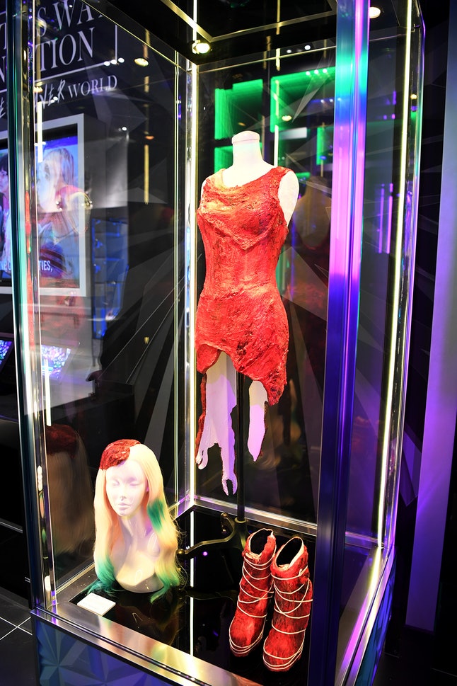 exposicao-lady-gaga-01
