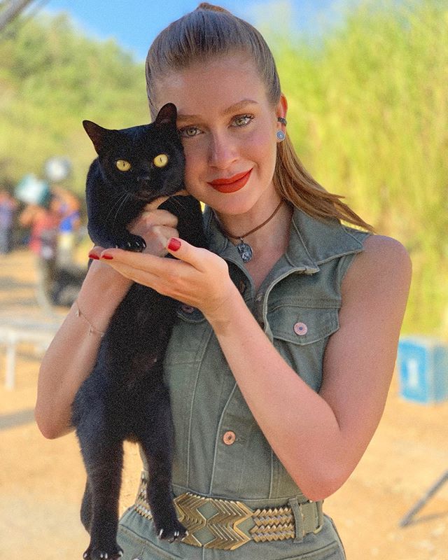 Veterinária nega que Marina Ruy Barbosa tenha adotado gato da novela