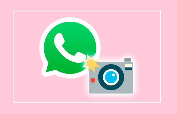 Nova função do WhatsApp ajuda usuário a não enviar foto pra pessoa errada