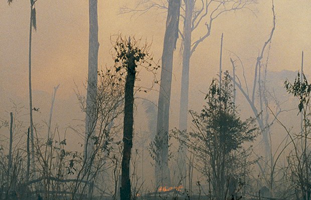 Ministro do Meio Ambiente sobre céu escuro e queimadas: “sensacionalismo”