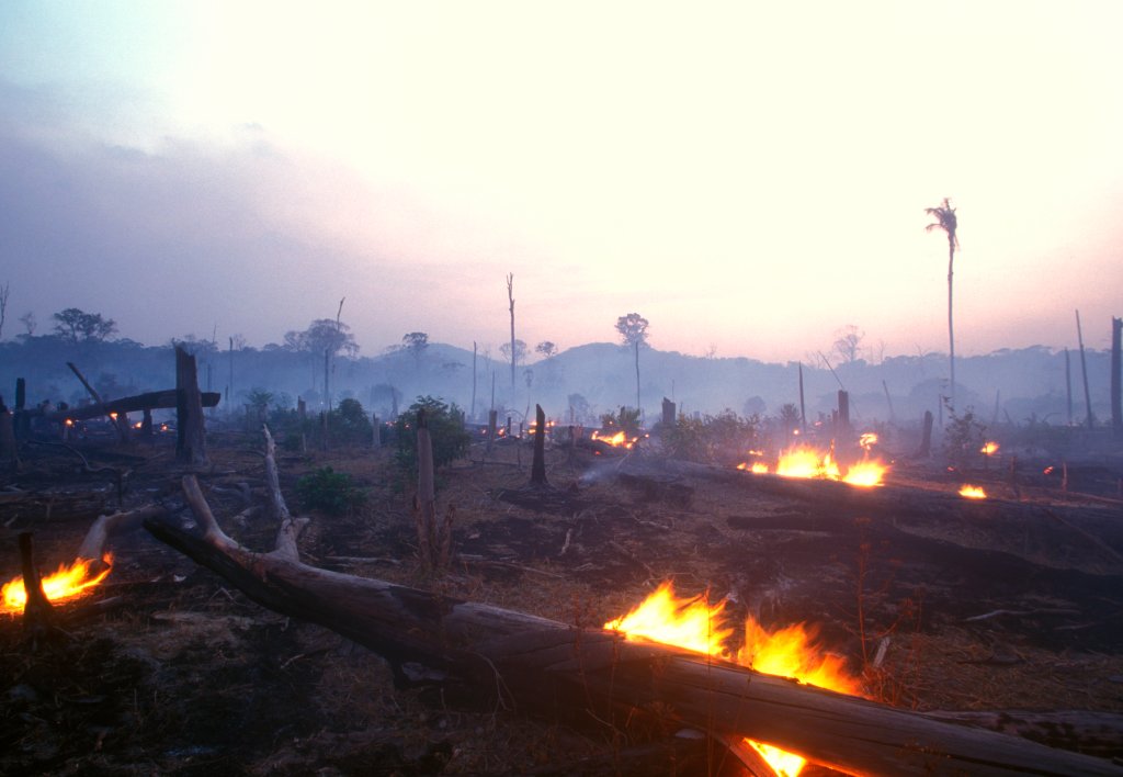 É o fim do orgulho nacional? Entenda o que está acontecendo com a Amazônia