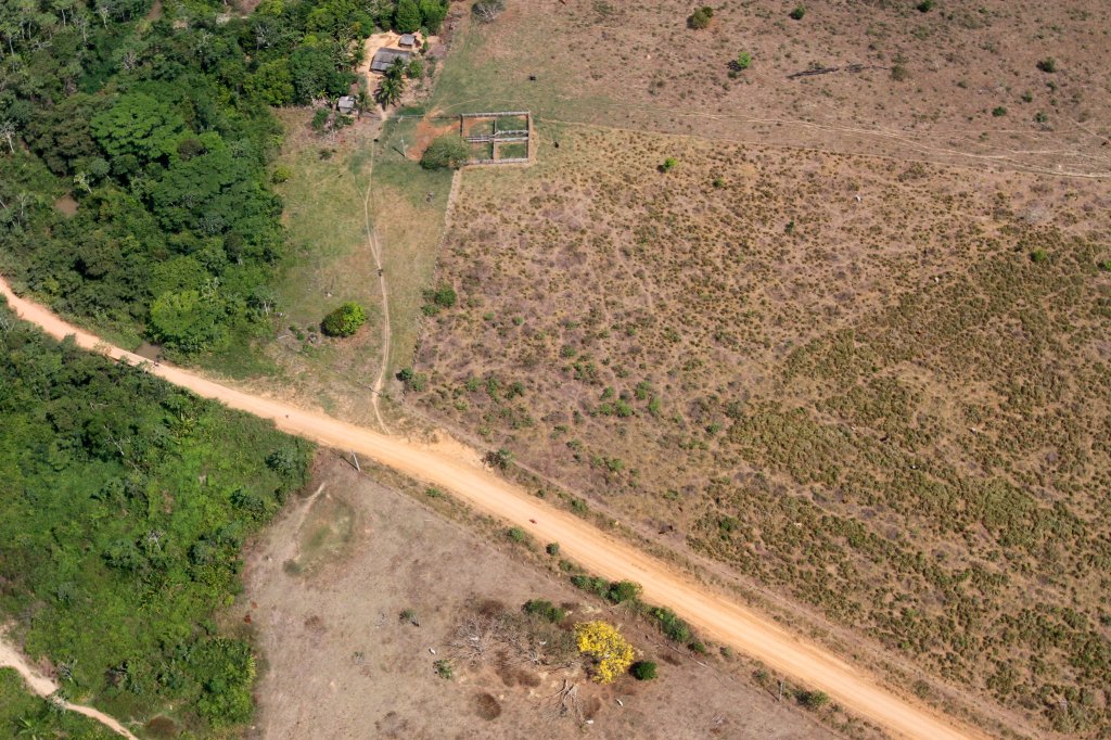 Desmatamento da Amazônia é 171% maior que o registrado em abril de 2019