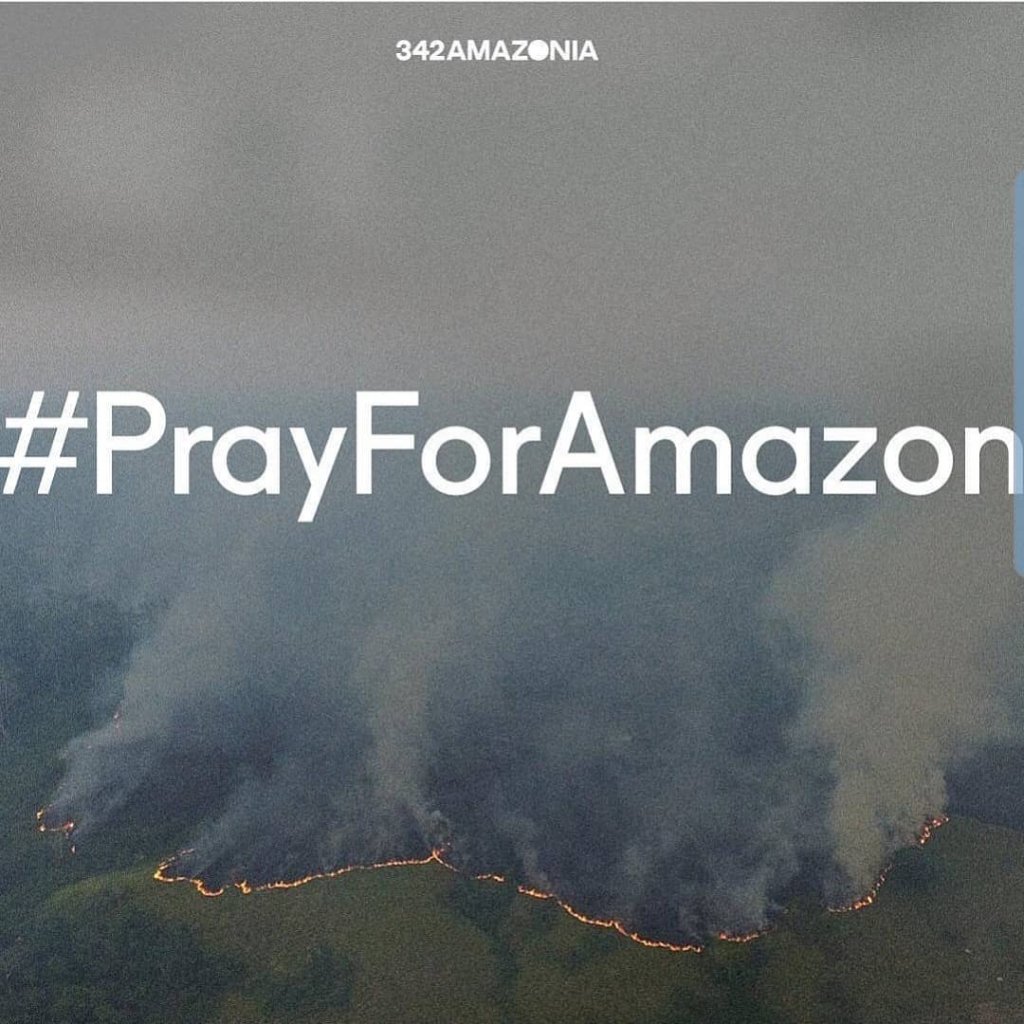 Amazônia: o que famosos como Demi Lovato e Ariana Grande estão falando?