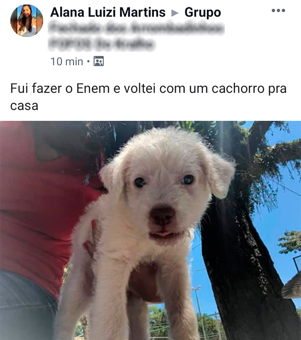 Jovem sai para fazer Enem e volta para casa com cachorrinho adotado