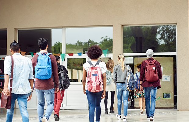 Será que os negros realmente são maioria no ensino superior?