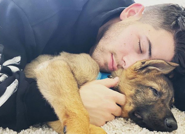 Priyanka Chopra acorda Nick Jonas com o melhor presente: um cachorrinho!